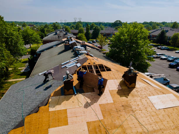 Trusted Roof Replacement service in Clayton, ID - Brentwood Metal Roofing